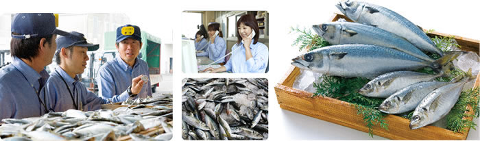 玄人としての責任とプライドをかけた絶品旬魚